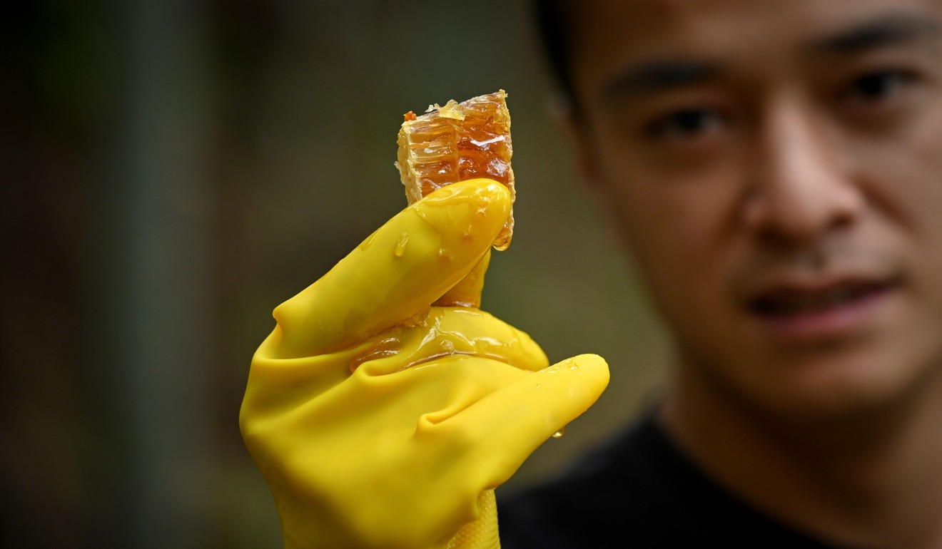 Beekeeper Ma Gongzuo holds up a piece of honeycomb to the camera. Photo: AFP