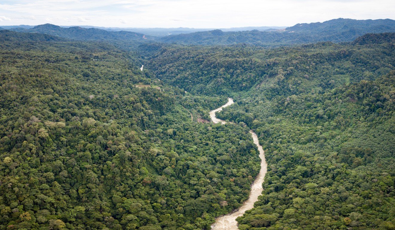 The Batang Toru forest in North Sumatra, Indonesia, where a Chinese-backed dam is currently under construction. Photo: EPA