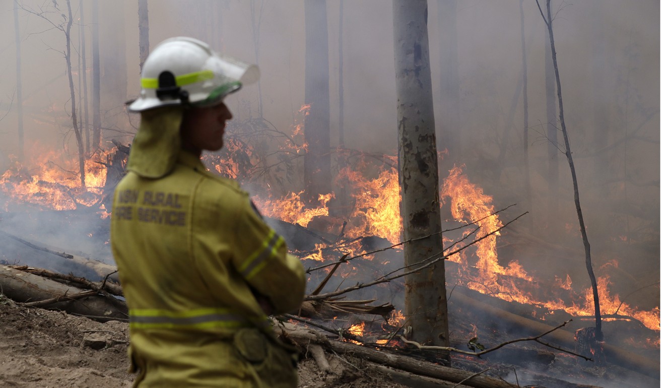 A firefighter keeps an eye on a controlled fire as they work at building a containment line at a bush fire near Bodalla on Sunday. Photo: AP