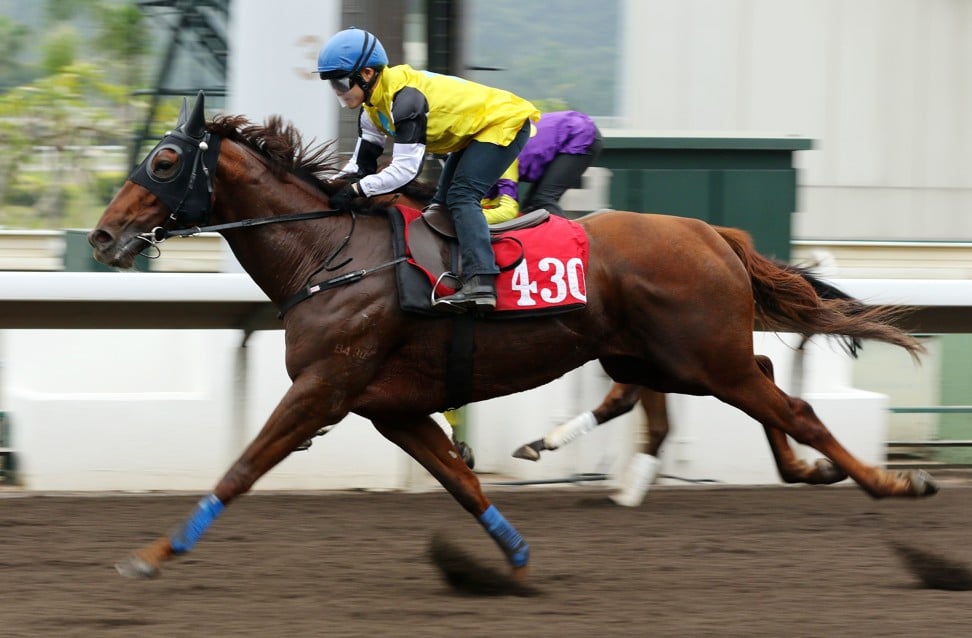 Triumphant Horse wins a barrier trial earlier this month.