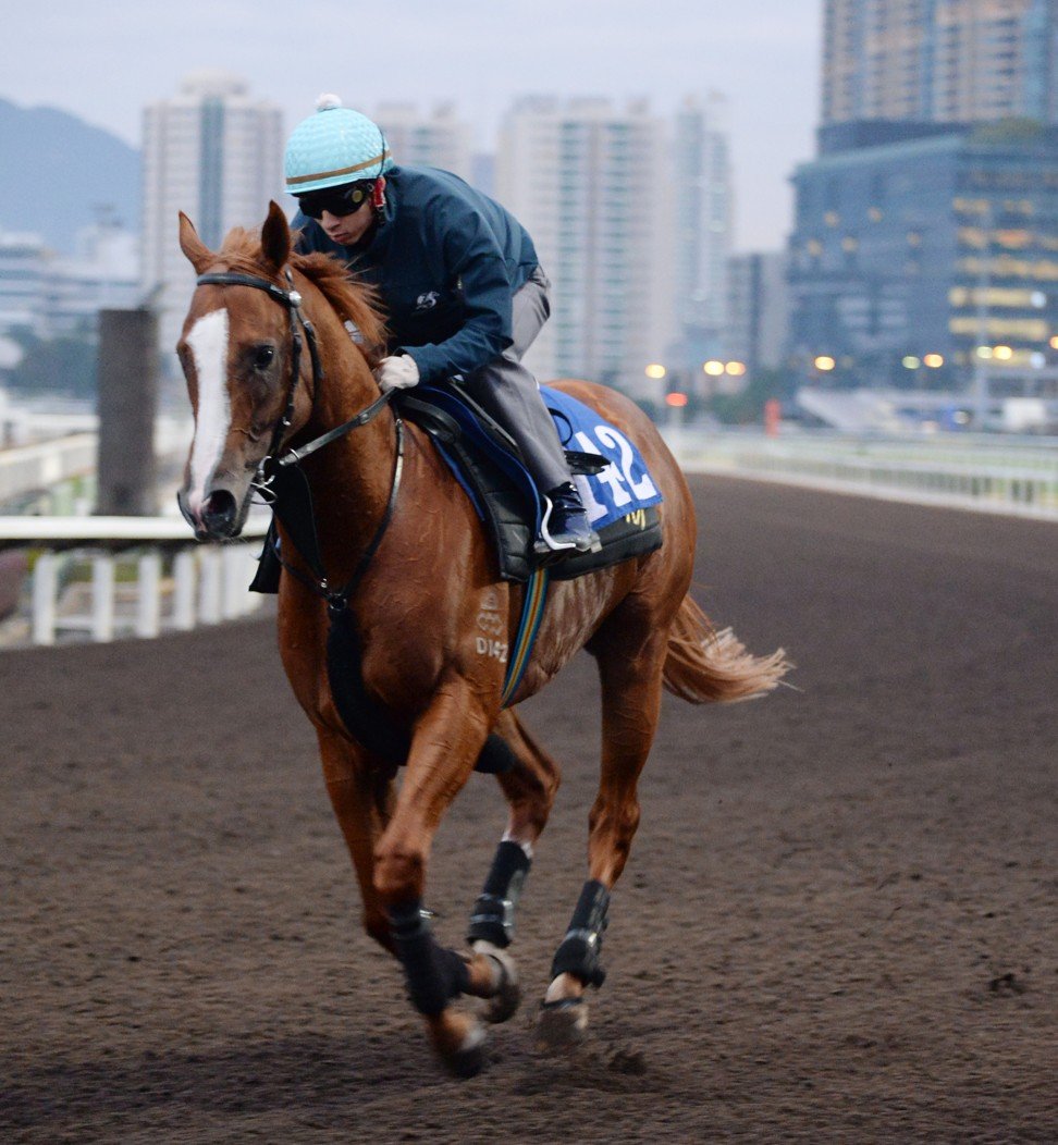 Stronger gallops at Sha Tin recently.