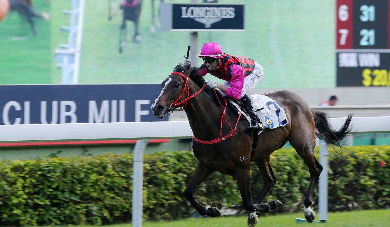 Waikuku wins the Group Two Jockey Club Mile in November.