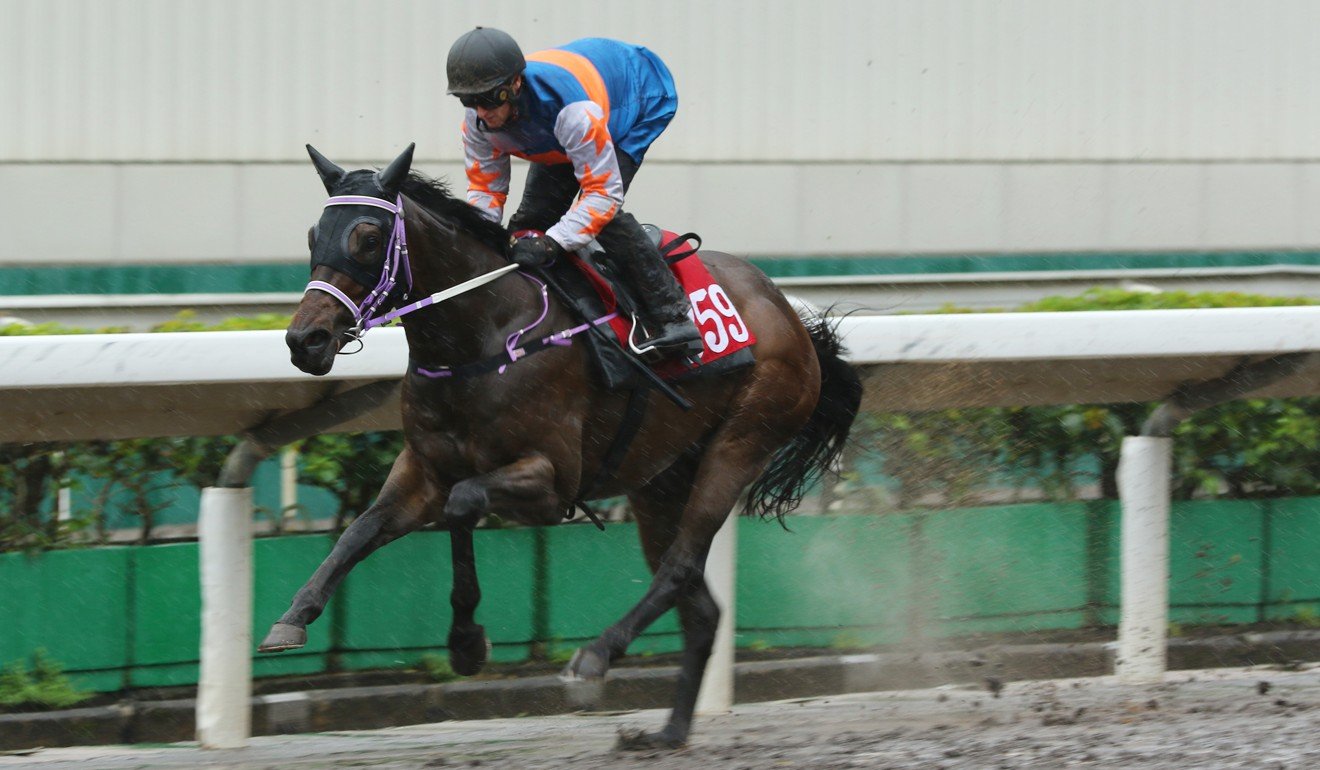 Best Smile steps up to 1,200m on Wednesday night.