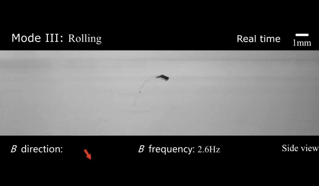 A video from the team showed the robots performing a range of manoeuvres. Photo: Handout