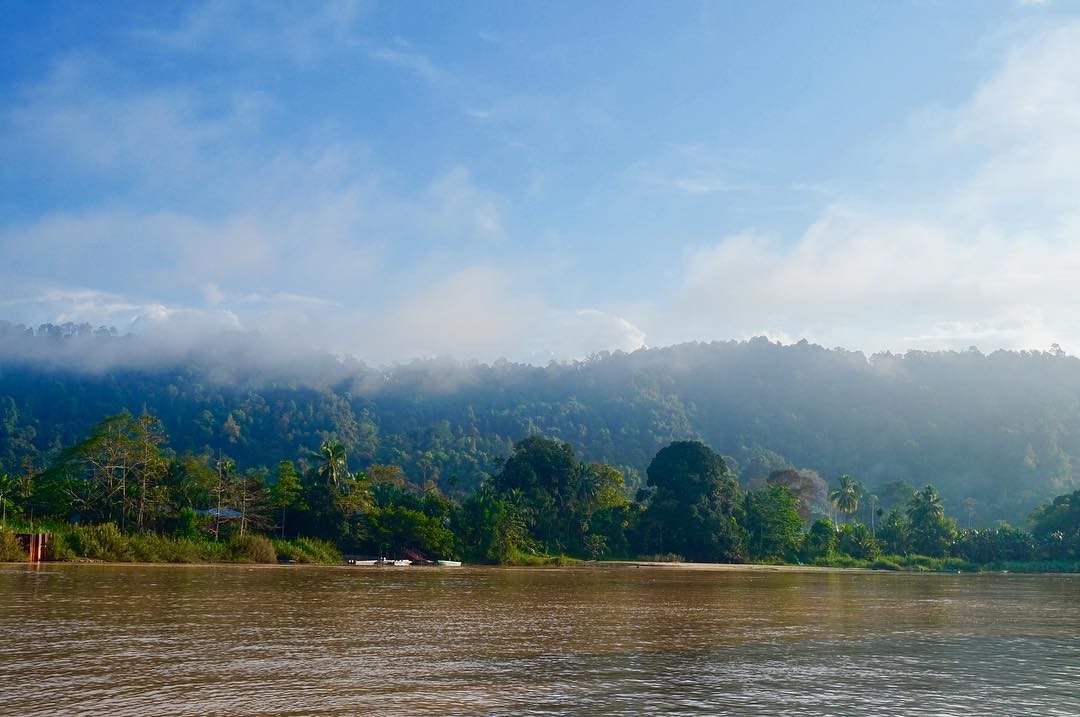 Borneo’s Kinabatangan River, as captured by Instagram user @sam_emma_travelling. Photo: Instagram