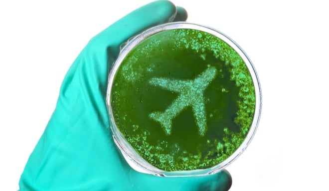 Aeroplanes are famously dirty, but there are tricks to avoid the germs