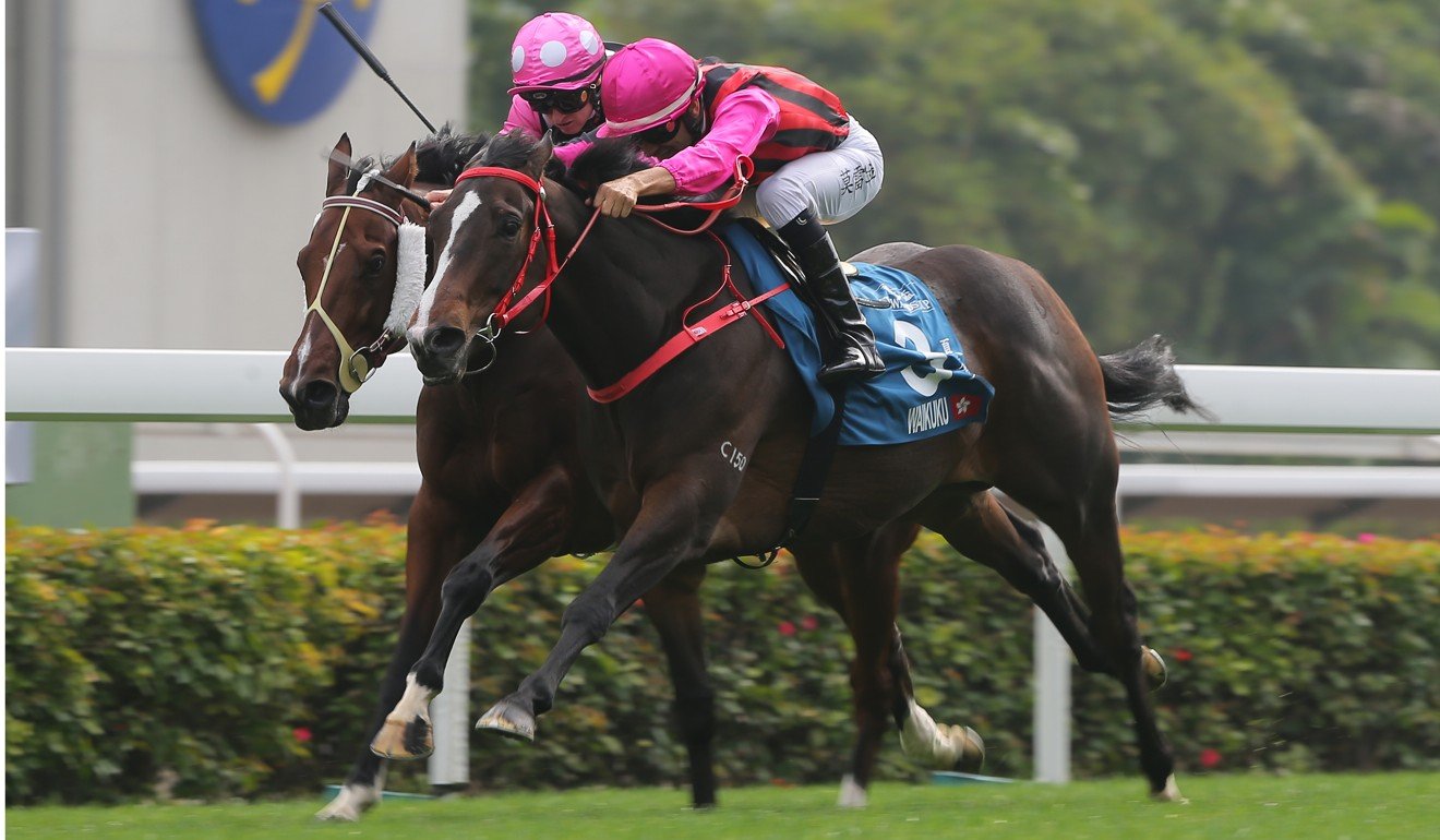 Waikuku (outside) and Beauty Generation (inside) race up the straight at Sha Tin.