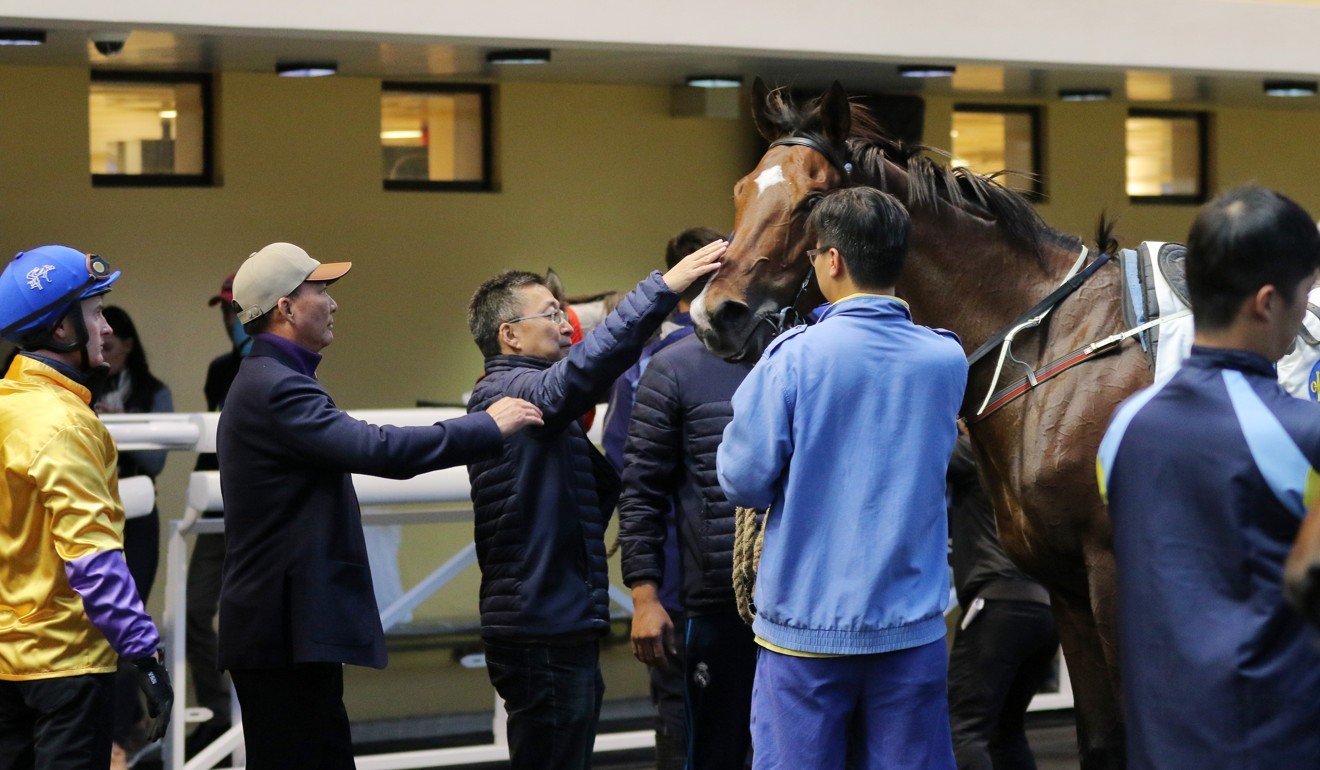 Trainer Francis Lui looks over More Than This with owner Huang Kai-wen at Happy Valley.