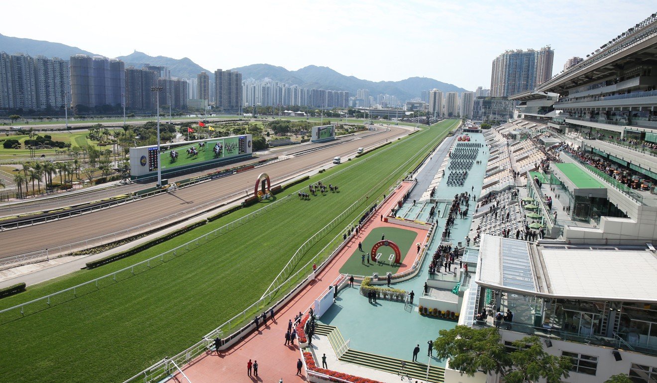 Horses race in front of an empty grandstand at Sha Tin.