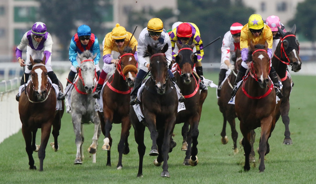 Golden Sixty (middles) explodes to salute in the Classic Mile.