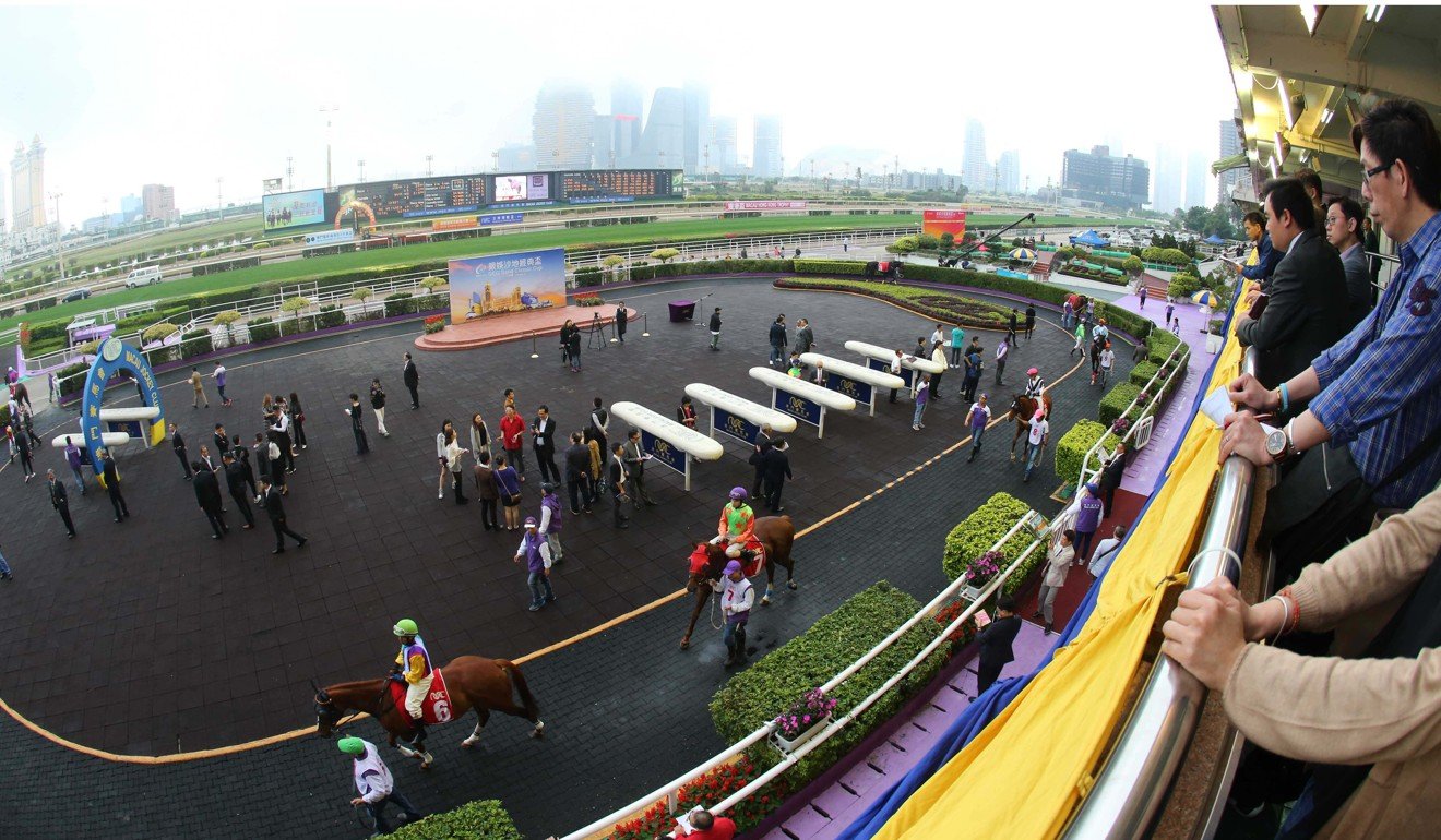 Punters look on at Macau racecourse.