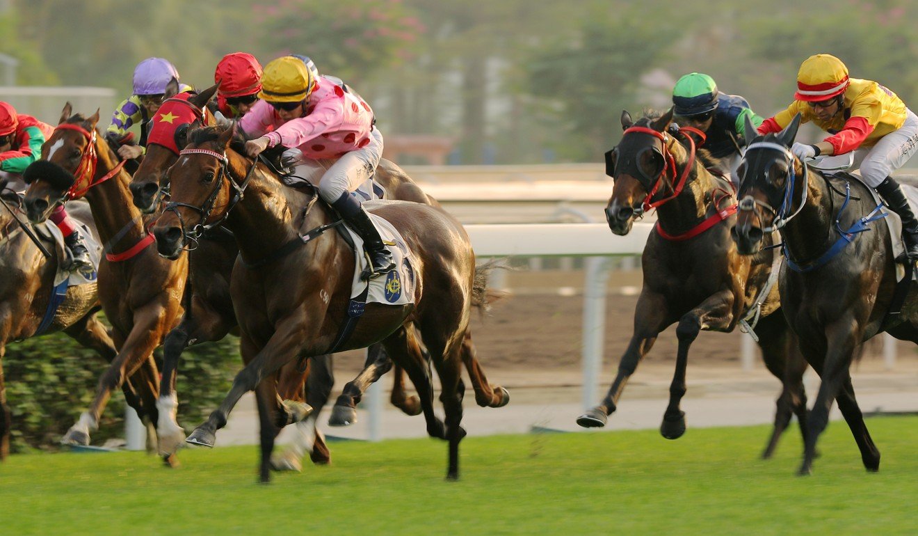 Columbus County (outside) chases home Preciousship at Sha Tin in January.