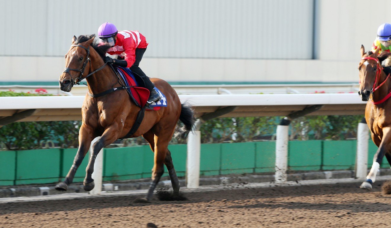 Wayfoong Star trials at Sha Tin on the all-weather surface.