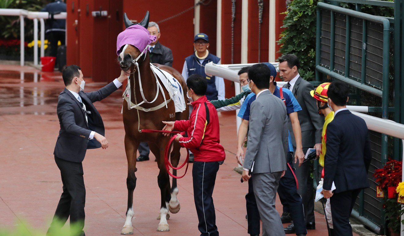 Handlers attempt to get Savvy Six onto the track at Sha Tin on Sunday.