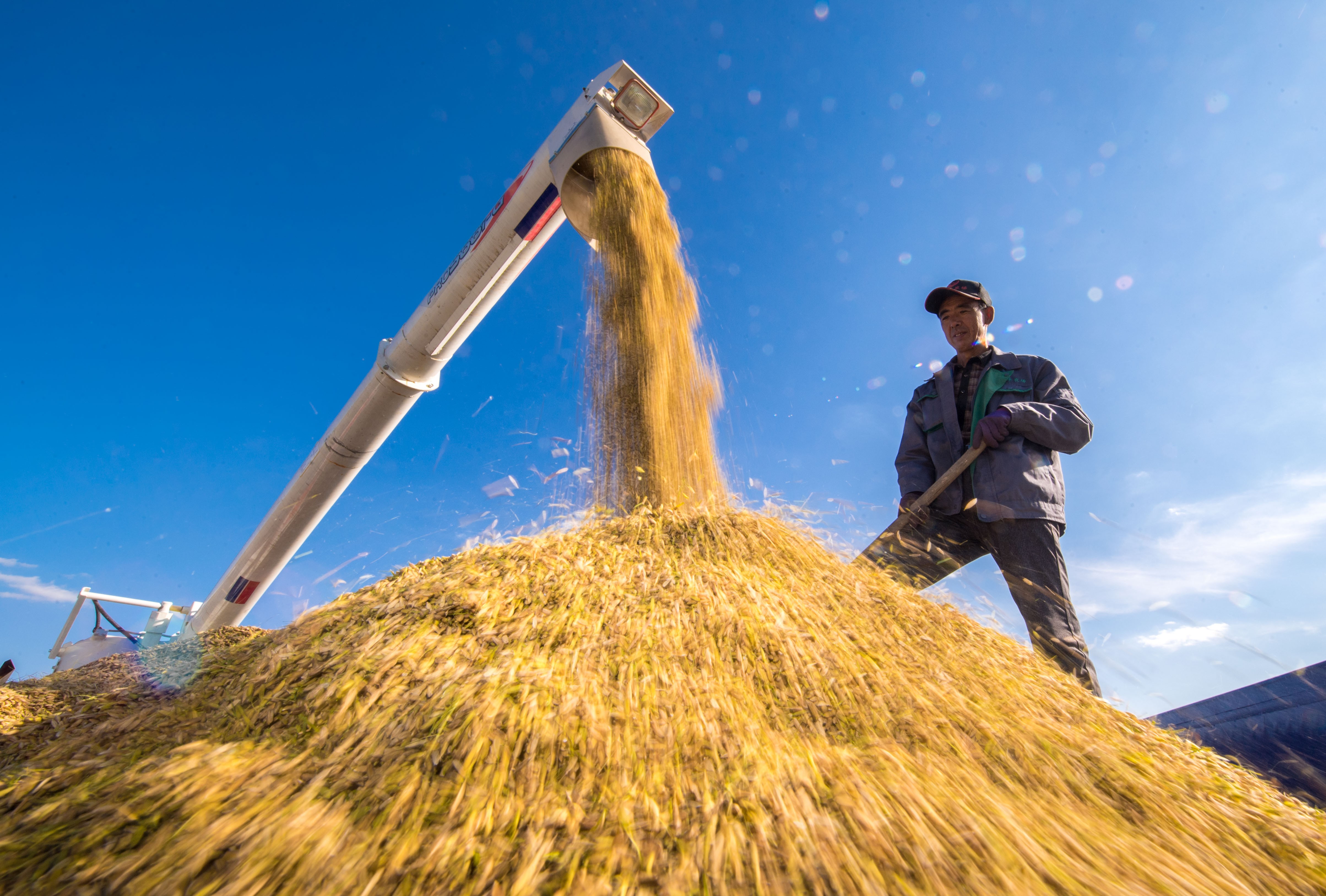 Agriculture has long been the bedrock of China’s political and economic stability as it stands at the heart of the national security strategy for a nation where around 60 per cent of population live in urban areas. Photo: Xinhua