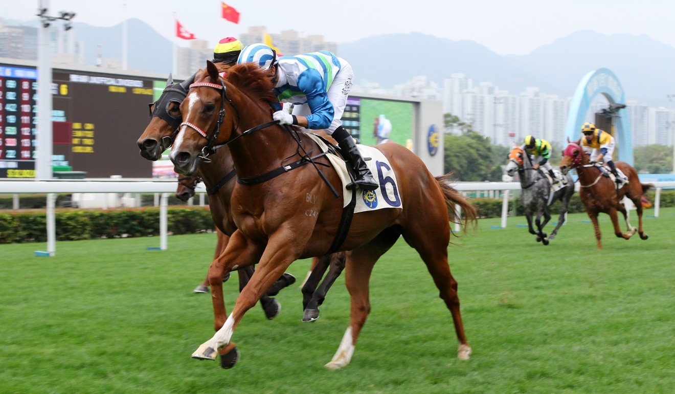 Voyage Warrior wins at Sha Tin on New Year’s Day.