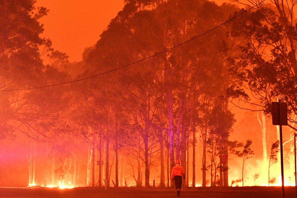 A firefighter surveys a bush fire around the town of Nowra, in the Australian state of New South Wales, on December 31, 2019. Photo: AFP