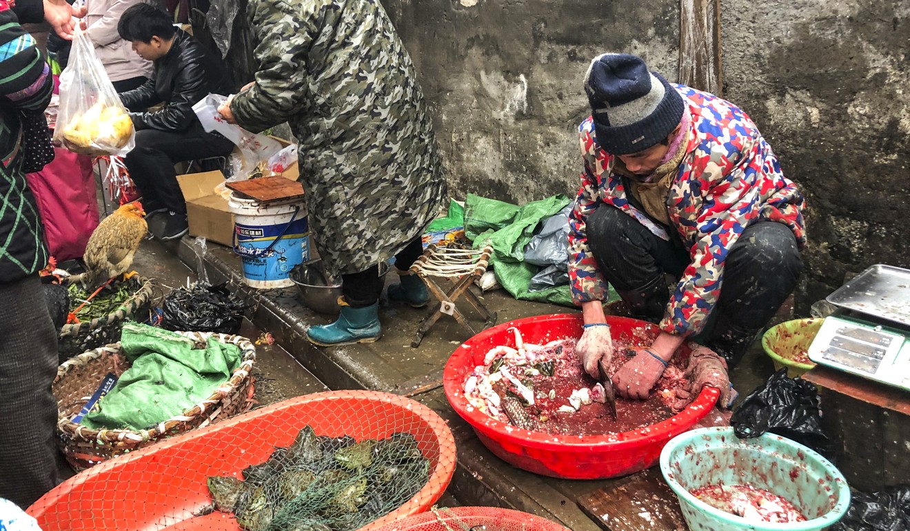 Scientists are testing theories to explain how the Wuhan coronavirus may have infected humans. Photo: Simon Song