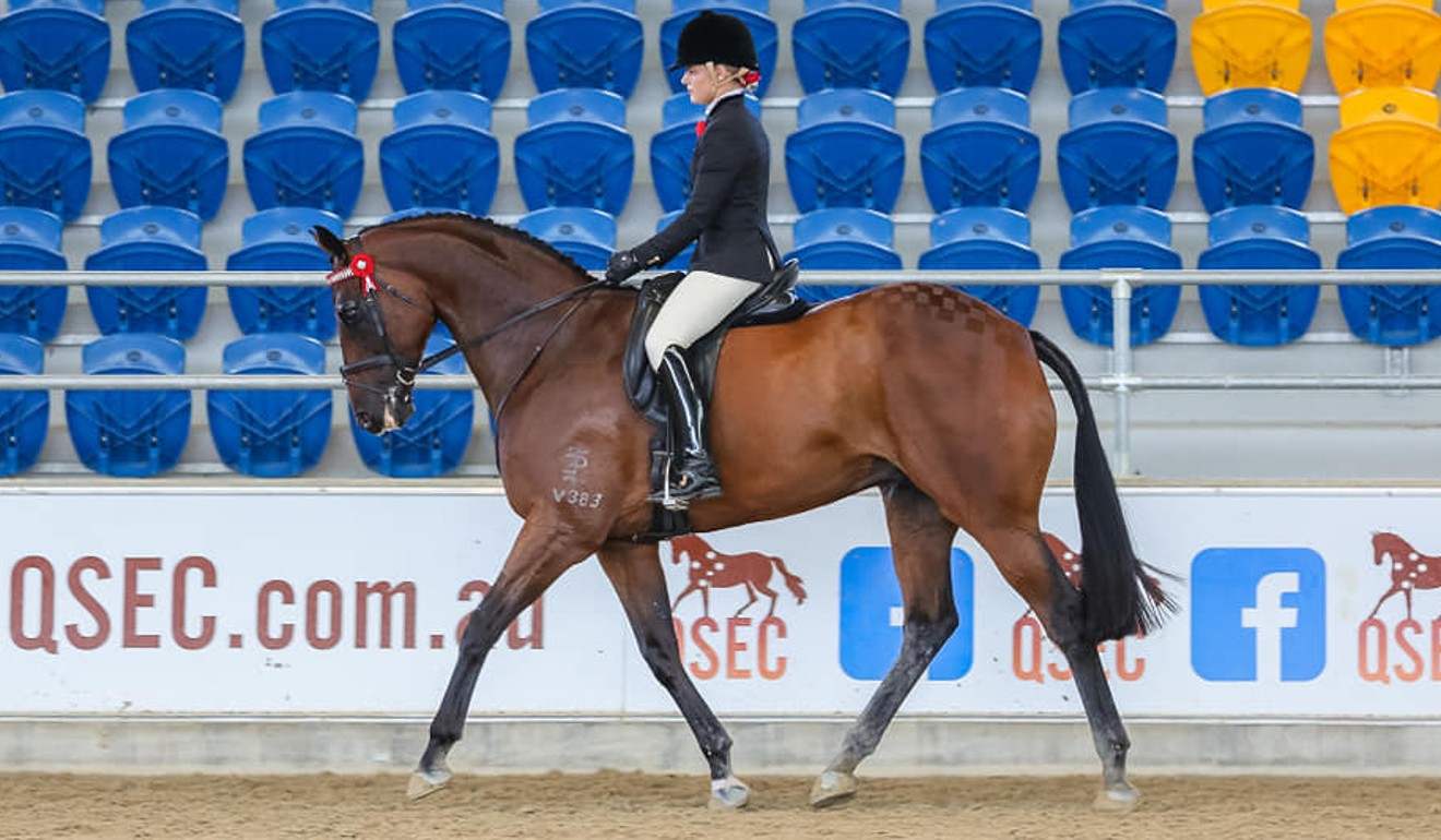 Amy Taylor berijdt elegante wandtapijten. Foto: ITR