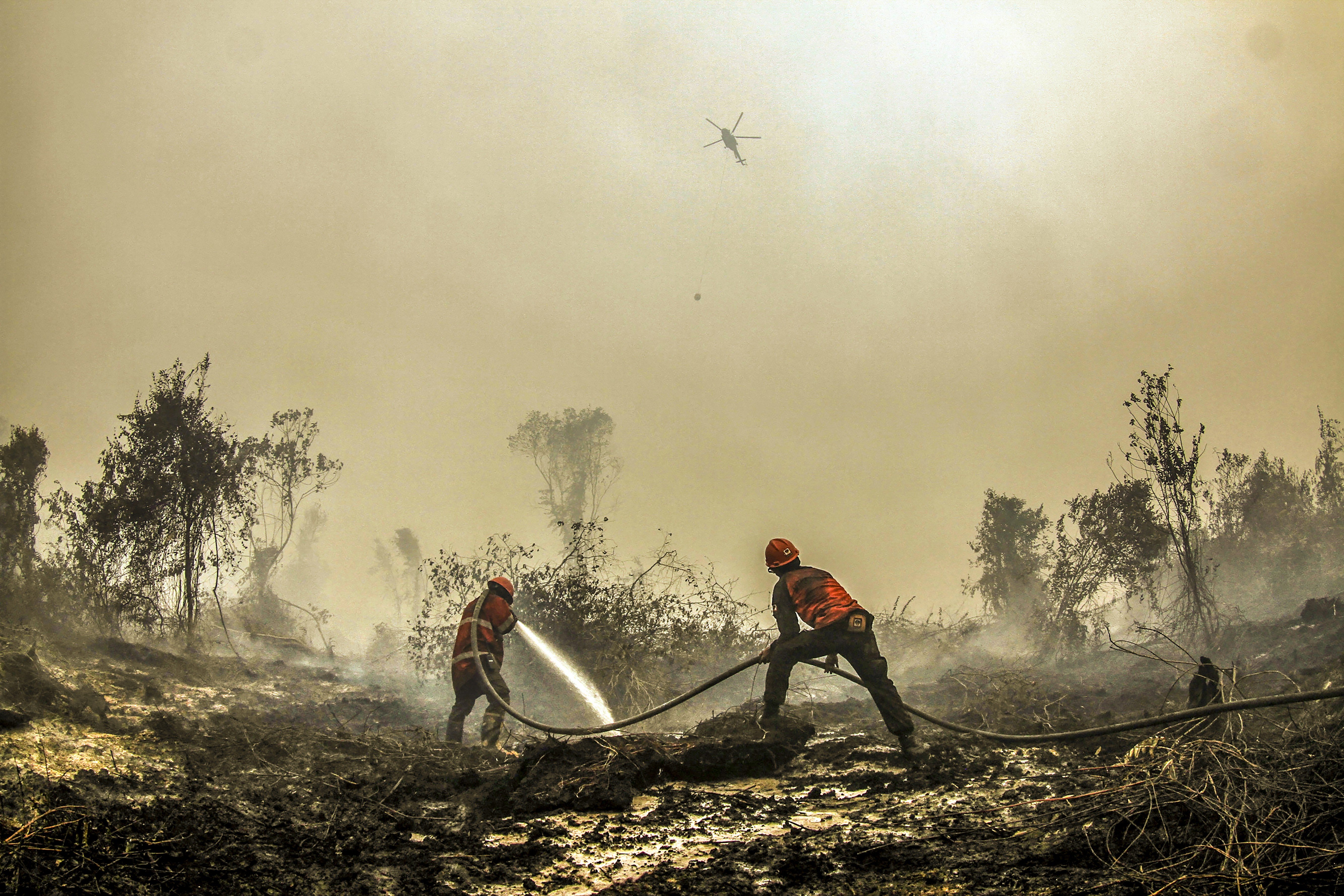 Looks familiar? No, it’s not Australia. It’s firefighters battling againsta forest fire in Kampar, Riau province, Indonesia. Photo: AP