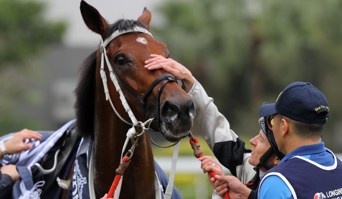 Jockey Zac Purton pats Exultant after a win.