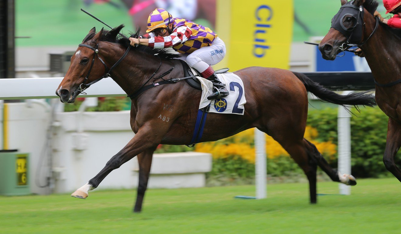 Curling Luxury wins at Sha Tin earlier this season.