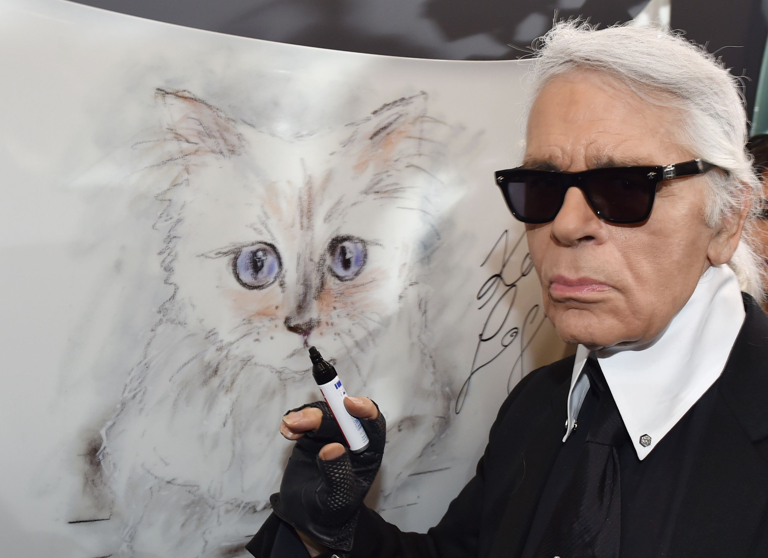 Karl Lagerfeld poses next to a sketch of his cat, Choupette, in February 2015. Photo: AFP