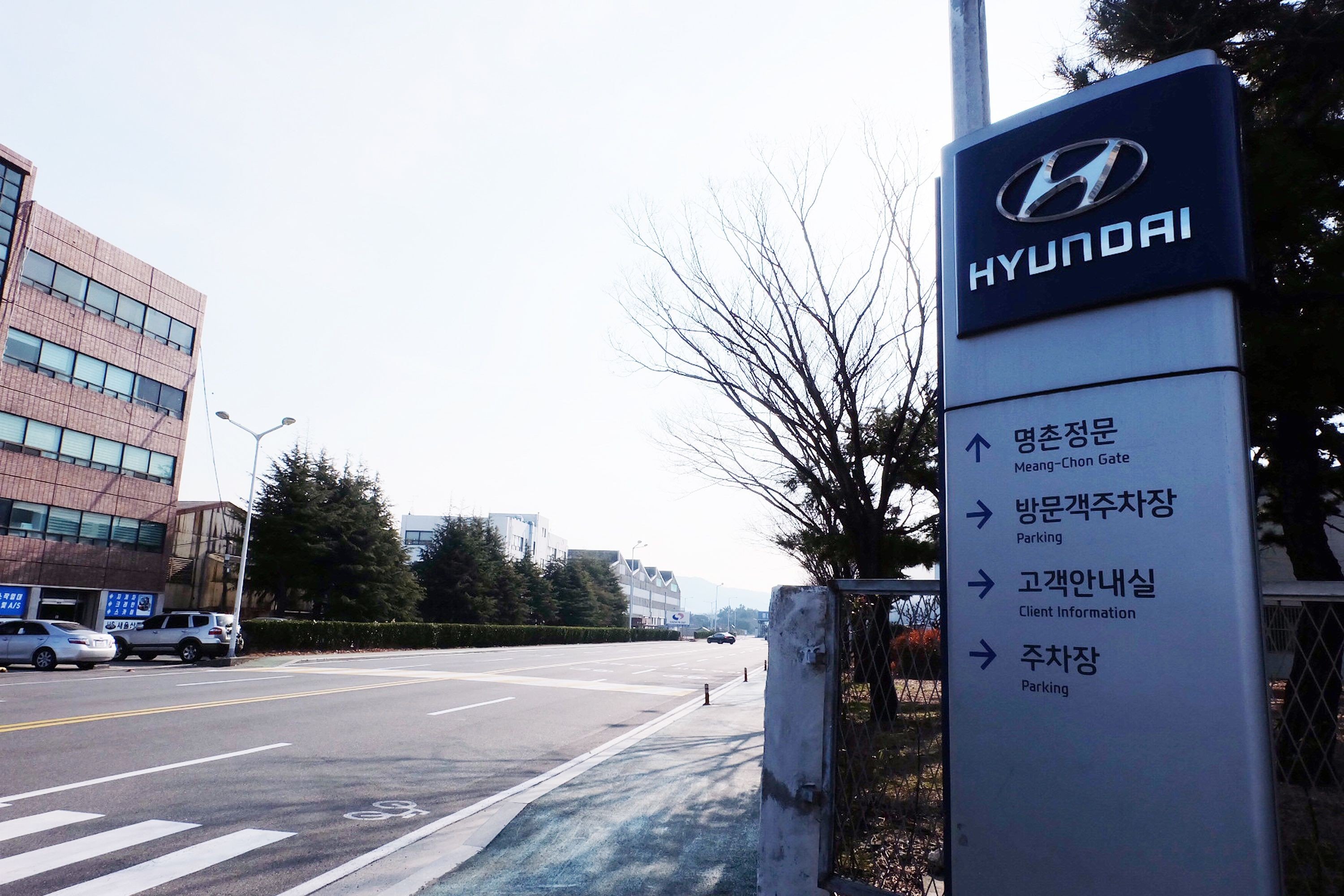 The most productive car factory in the world fell quiet on February 7 as South Korea’s Hyundai suspended operations at its giant Ulsan complex, hamstrung by a lack of parts as the coronavirus outbreak crippled China's industrial output. Photo: AFP