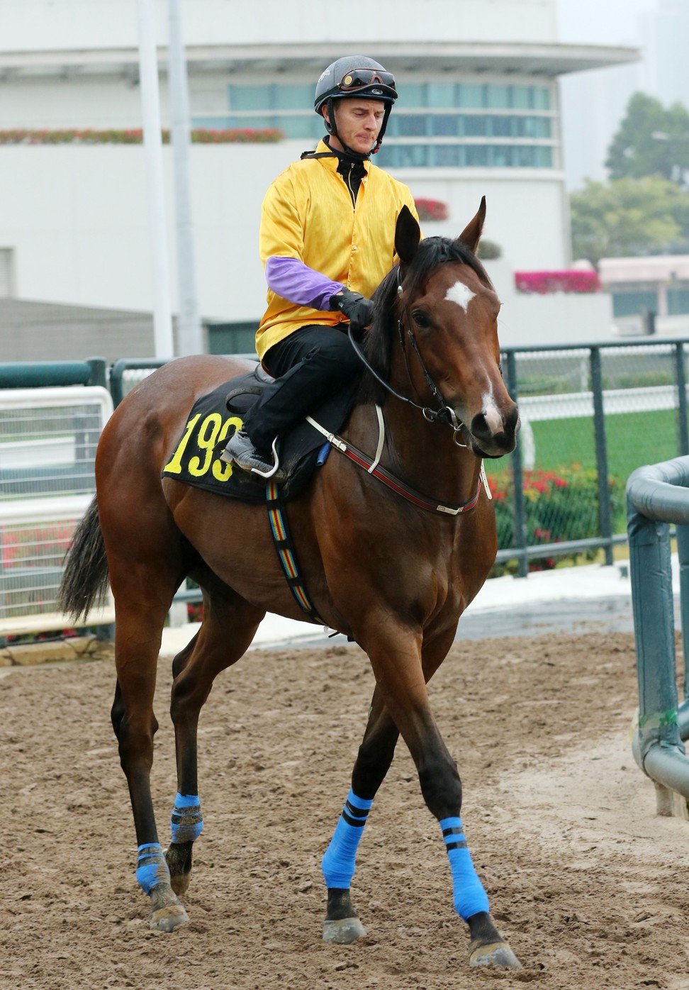 Zac Purton on More Than This at Sha Tin.