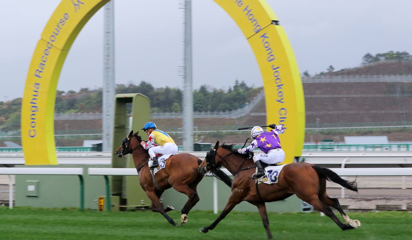 Happy Rocky salutes at Conghua in March last year.