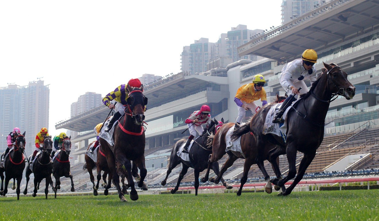 Golden Sixty wins the Classic Cup under jockey Vincent Ho.