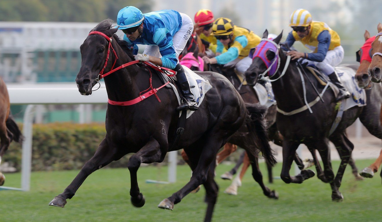 Tornado Twist salutes at Sha Tin last season.