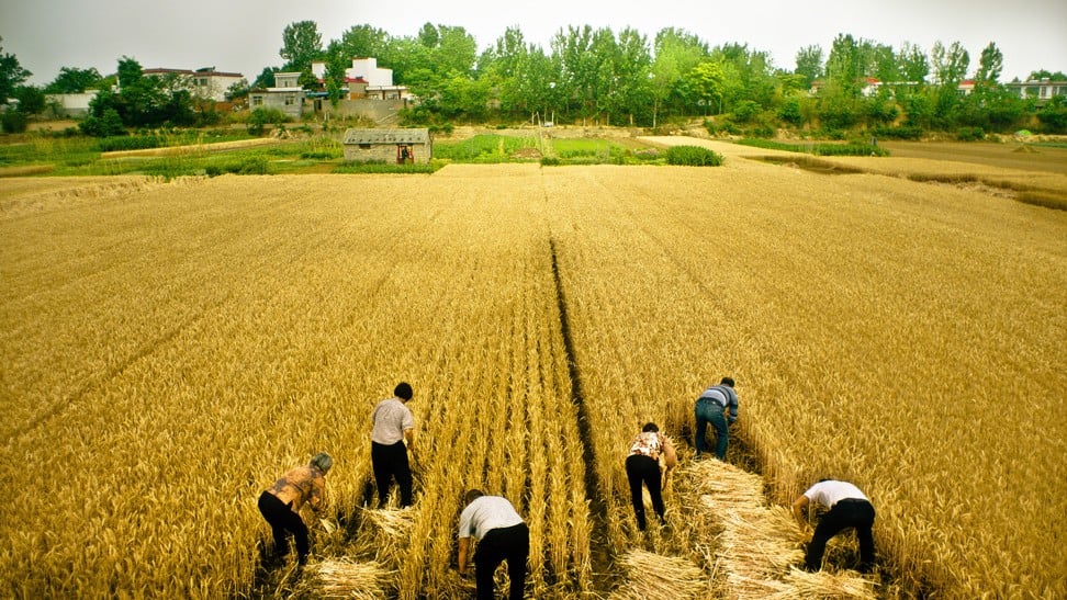 A scene from Swimming Out Till the Sea Turns Blue. The documentary focuses on rural characters and settings.