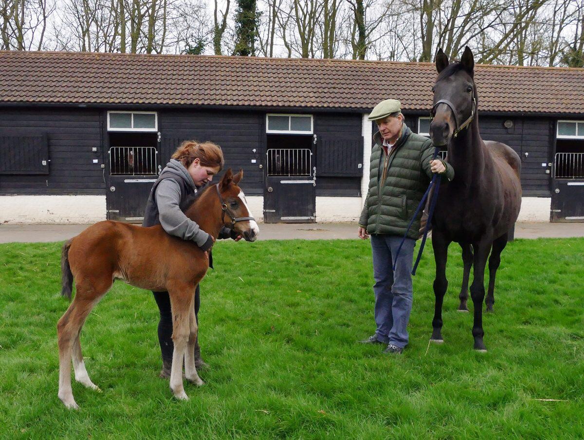 Ka Ying Star's brother with mother Casual Glance and Peter Stanley. Photo: New England Stud.