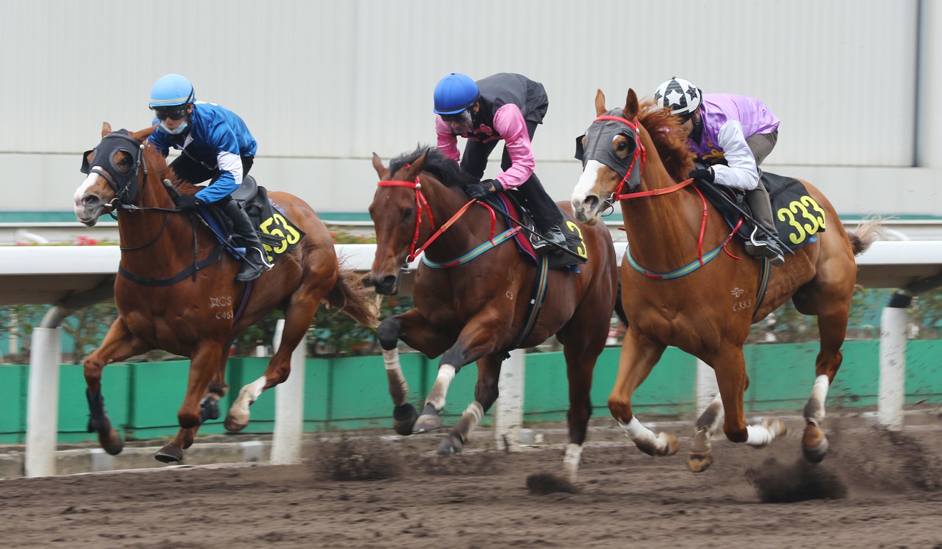 Full Of Beauty (middle) trials at Sha Tin recently.