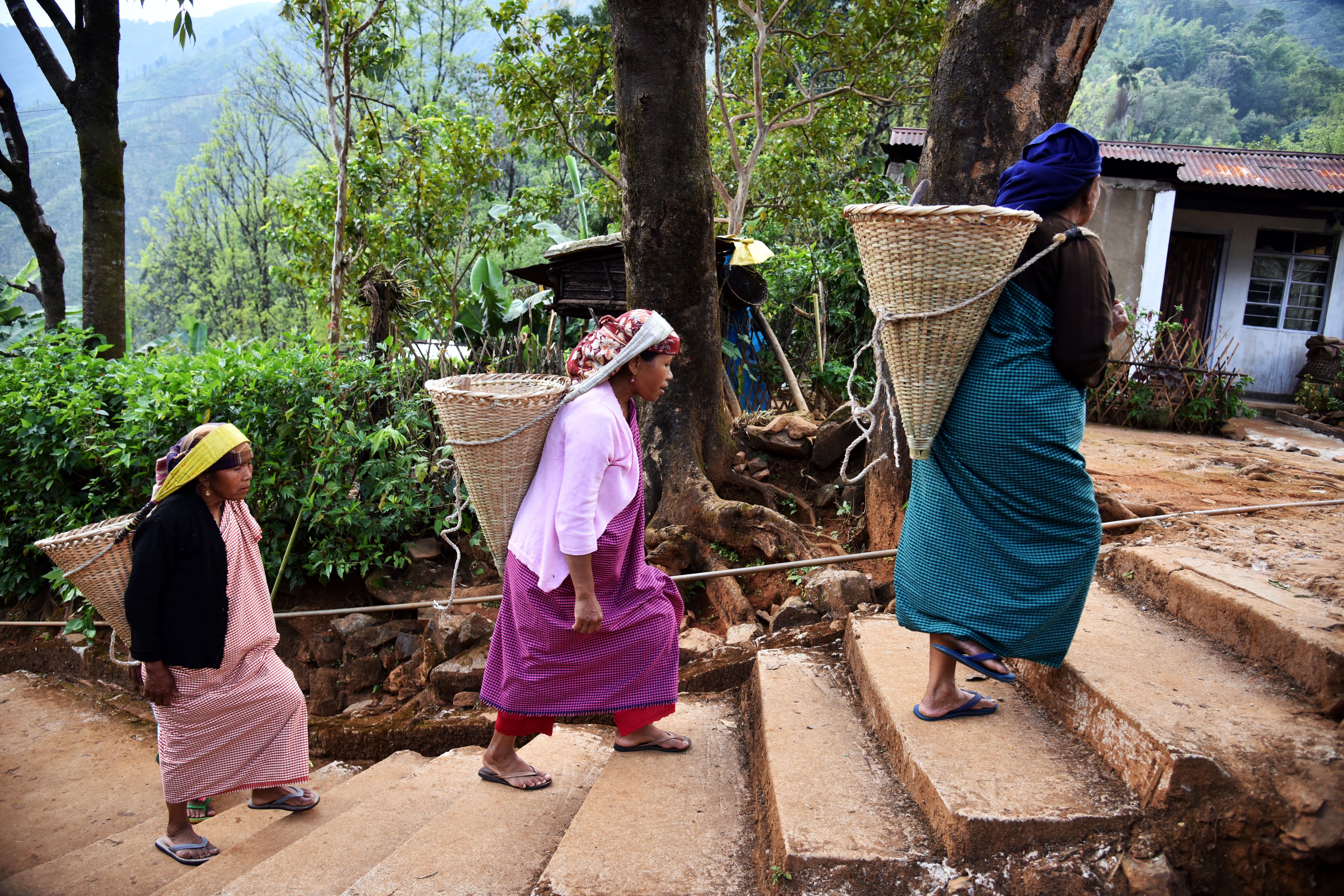 Khasi women leave their village of Nongtraw in India’s northeastern Meghalaya state to collect herbs from the fields. Photo: AFP