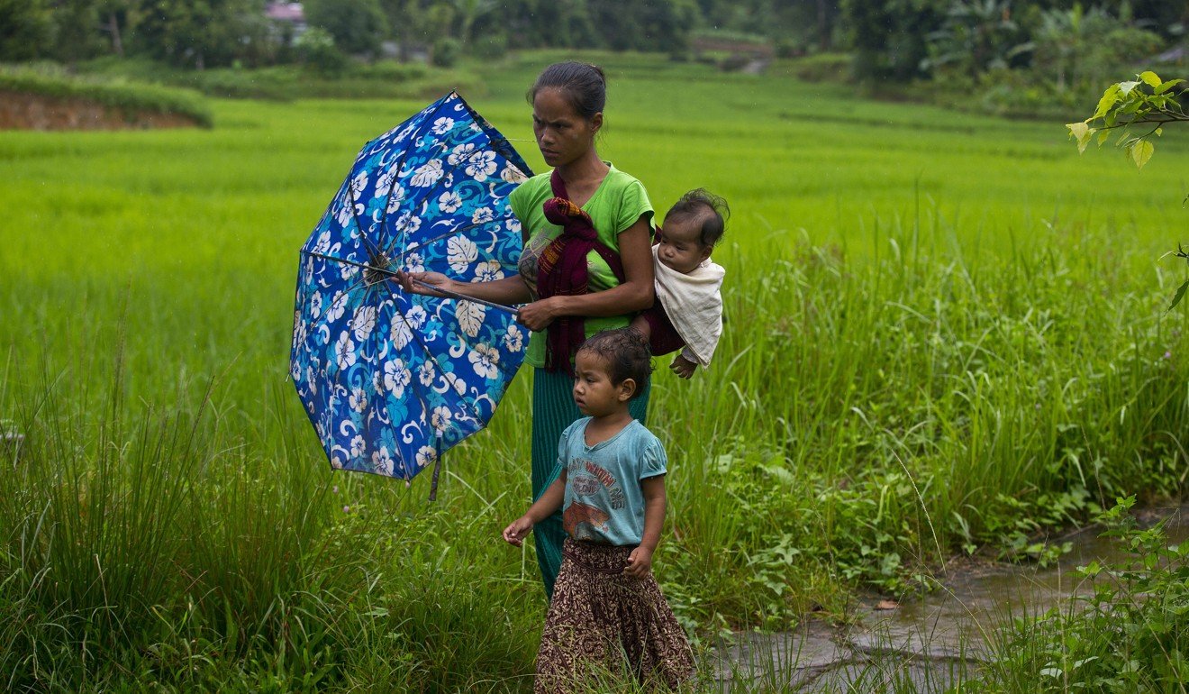 A Khasi woman walks in the rain with children past a paddy field along the Assam-Meghalaya state border in India. Photo: AP