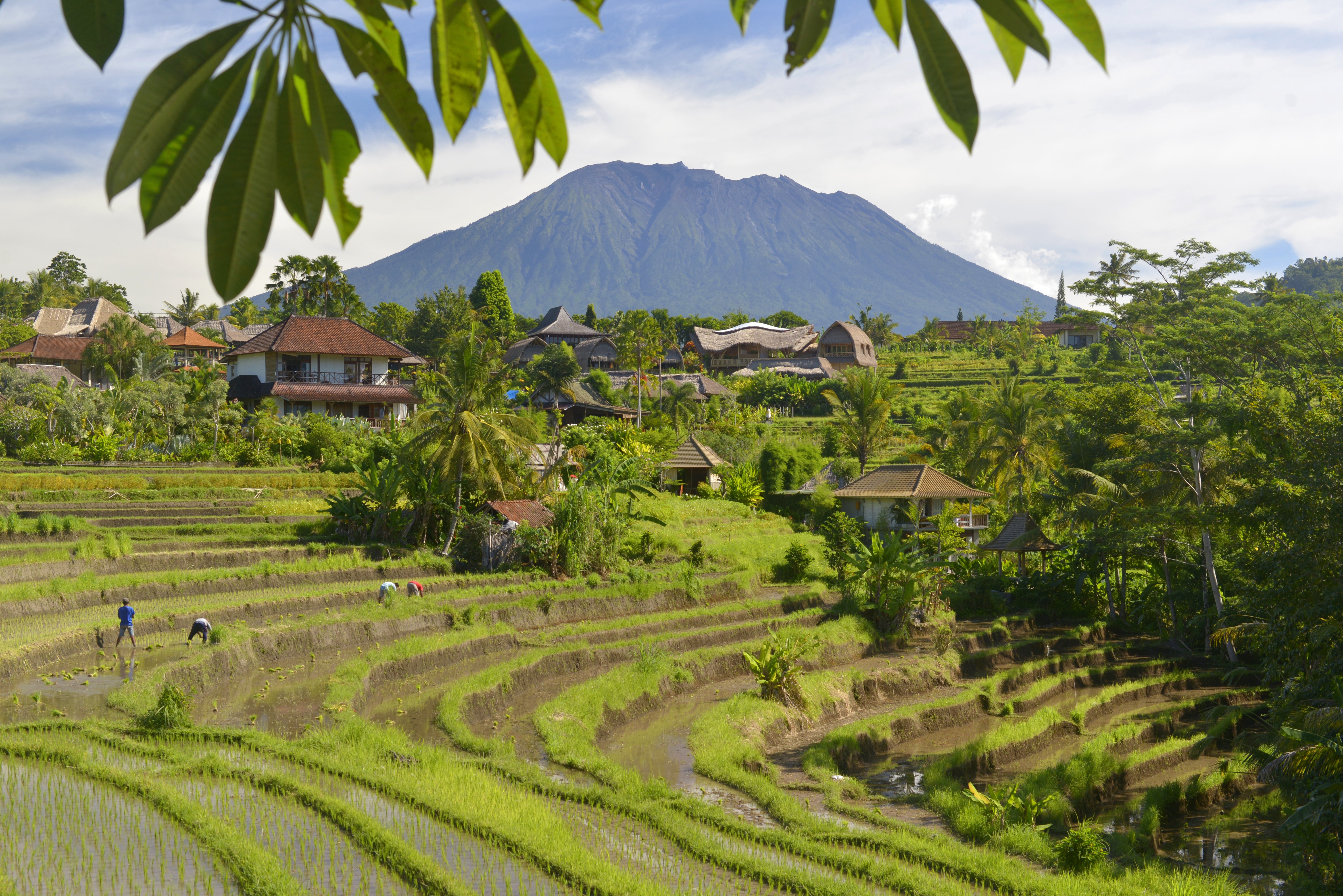 Mighty Agung Volcano looms over the pristine paddyfield landscapes of Sidemen village in East Bali. Photo: Mark Eveleigh [FEATURES 2020]