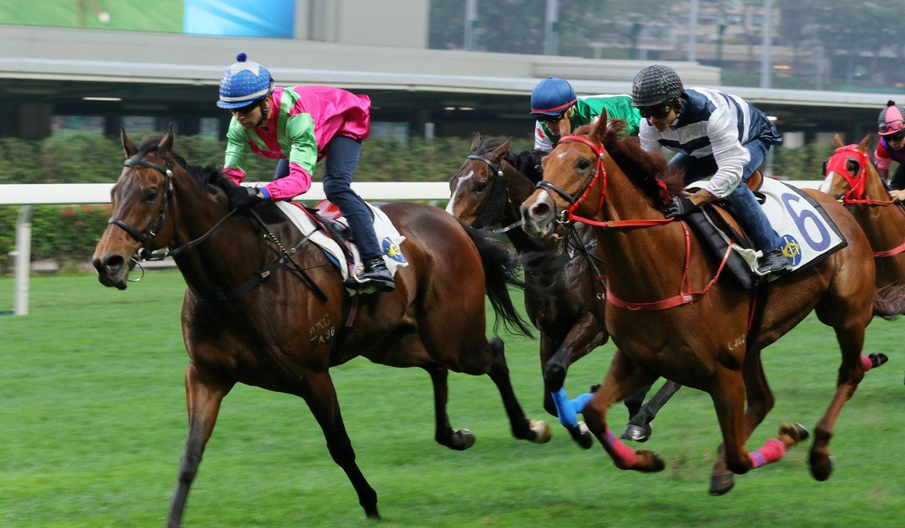 Joao Moreira rides Elusive State in a barrier trial at Happy Valley on Saturday morning.