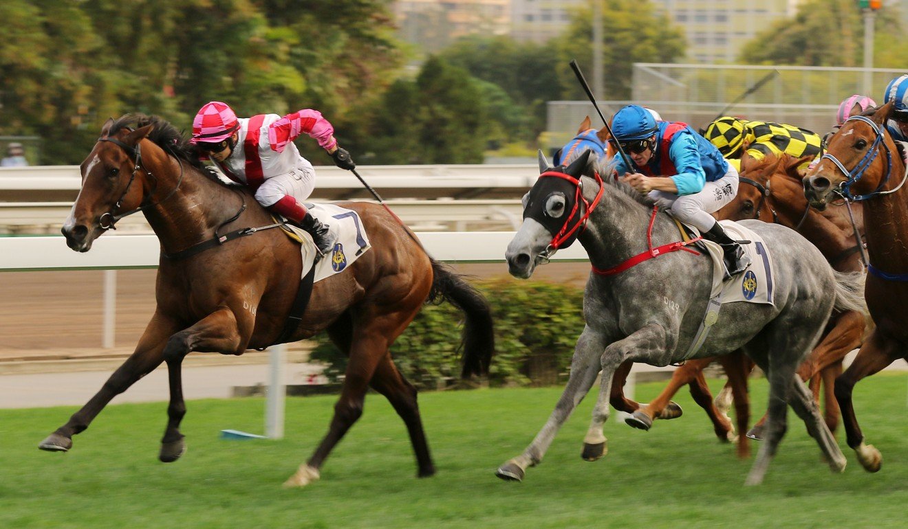 Decrypt (right) finishes second behind Super Wealthy at Sha Tin earlier this month.