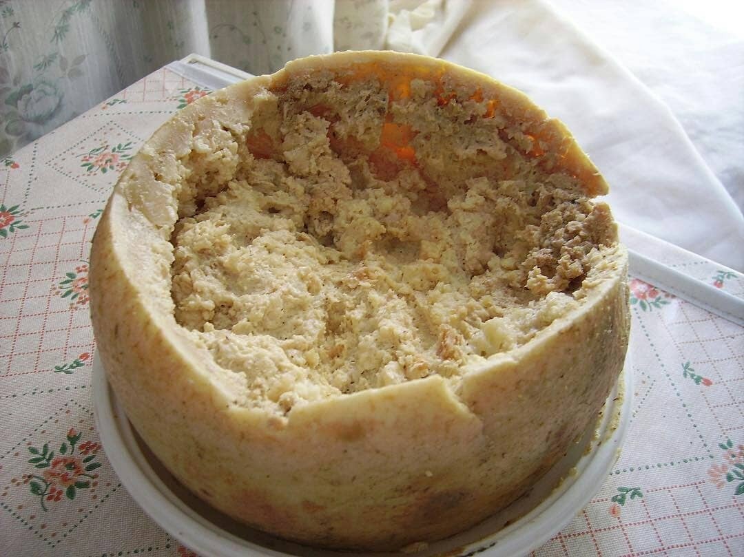 Rotten cheese with wriggling live maggots? Sardinia's beloved casu