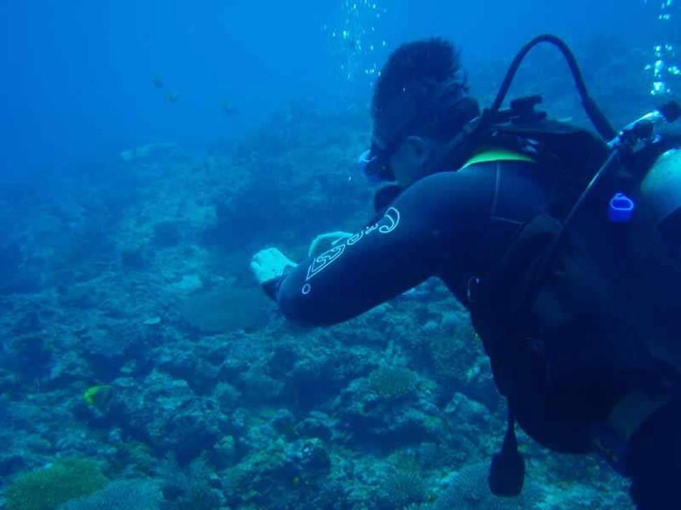 Dr Chan scuba diving in Koh Samui, Thailand. He compares swimming underwater to meditation.