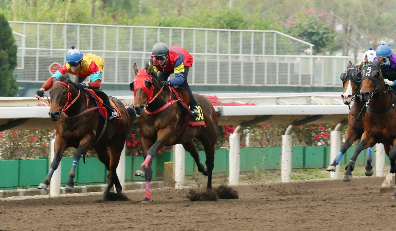 Big Time Baby (left) trials at Sha Tin on Friday morning.