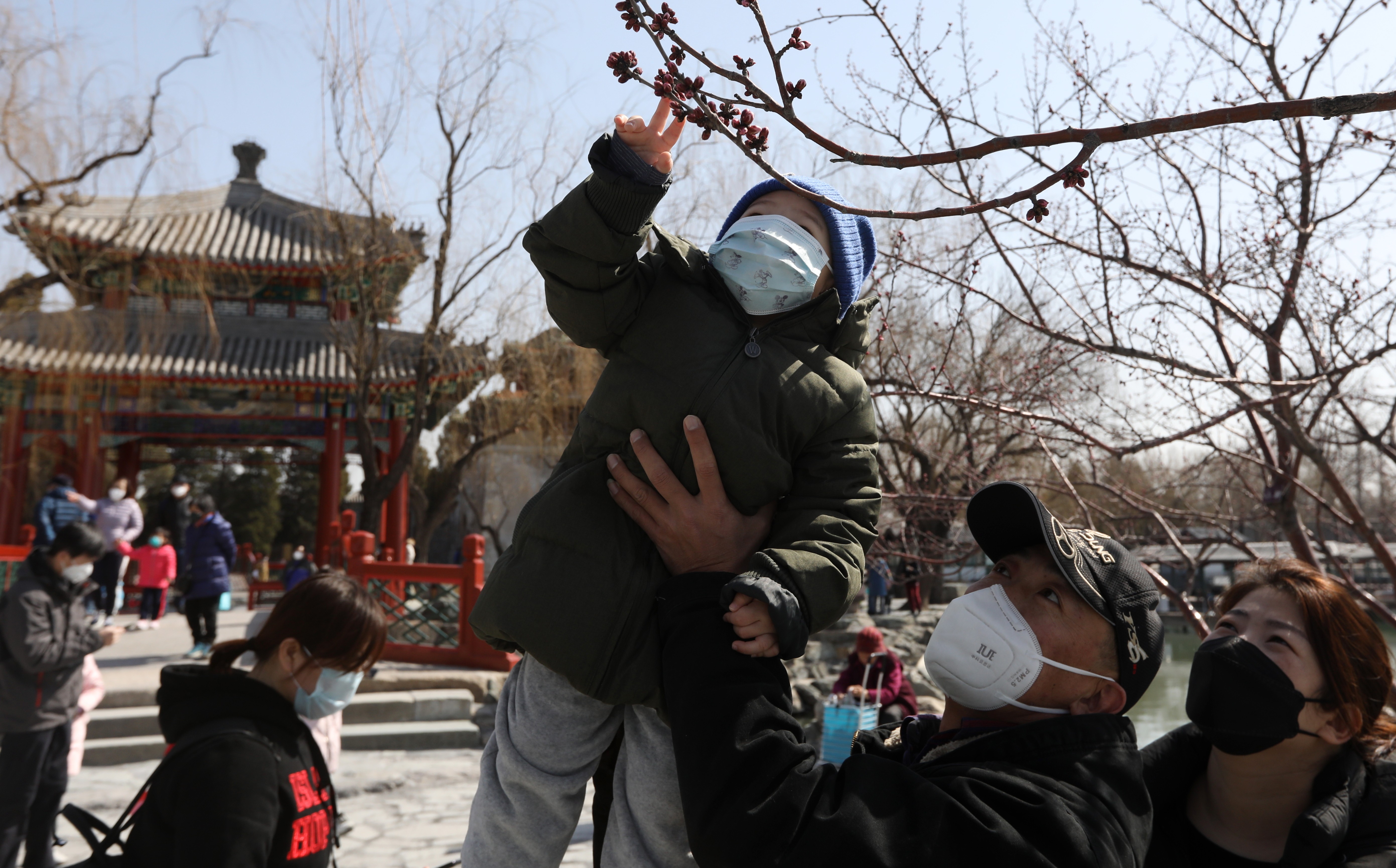 A boy reaches for the spring flower buds at the Summer Palace in Beijing, on March 11, as tourist attractions reopen in China. We now know that Covid-19, while serious, is nowhere near as bad as Sars, Mers or Ebola. Photo: Simon Song