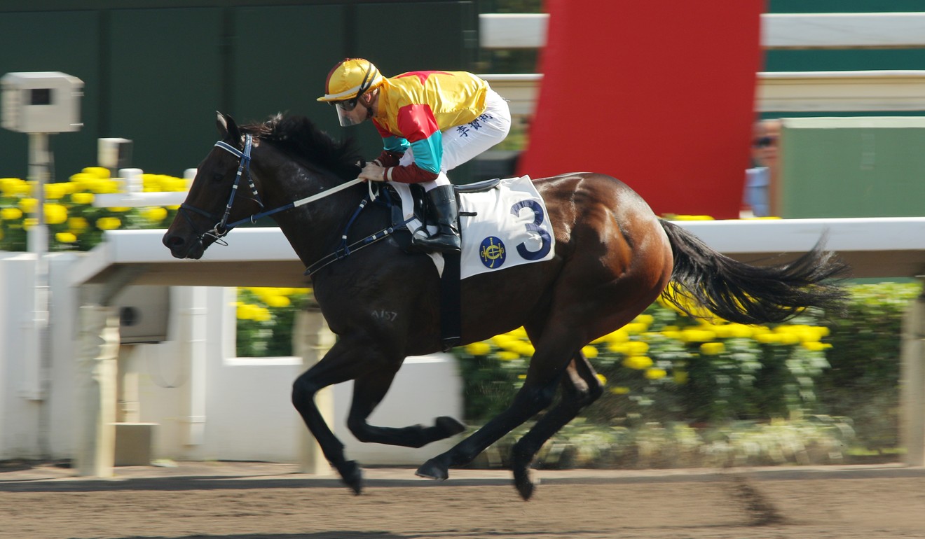 Big Time Baby wins at Sha Tin.