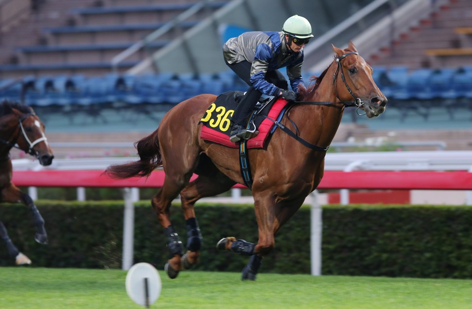 Aethero wins a trial under Zac Purton at Sha Tin on Tuesday morning.