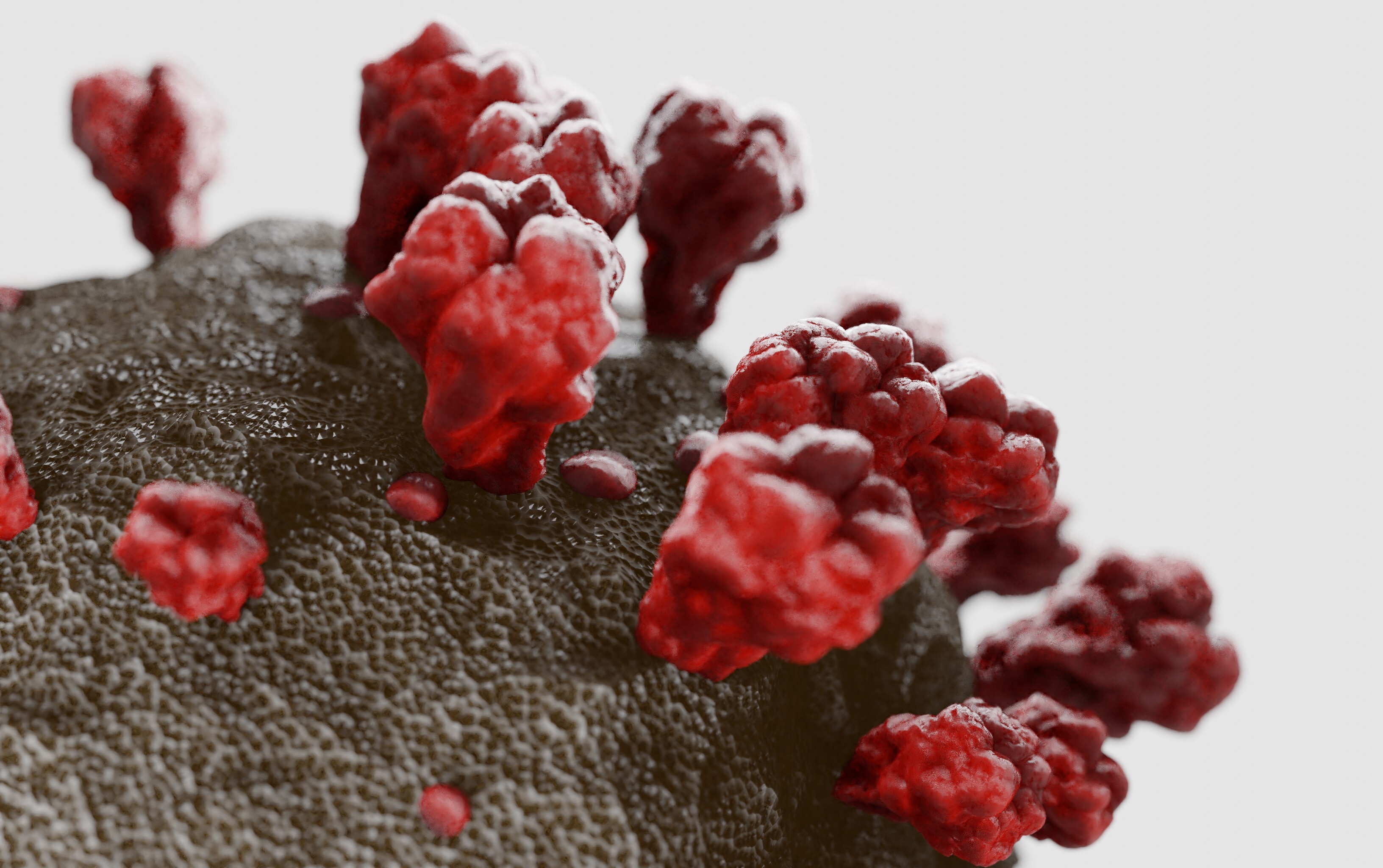 An artist’s 3D rendering of the coronavirus. Photo: Getty Images