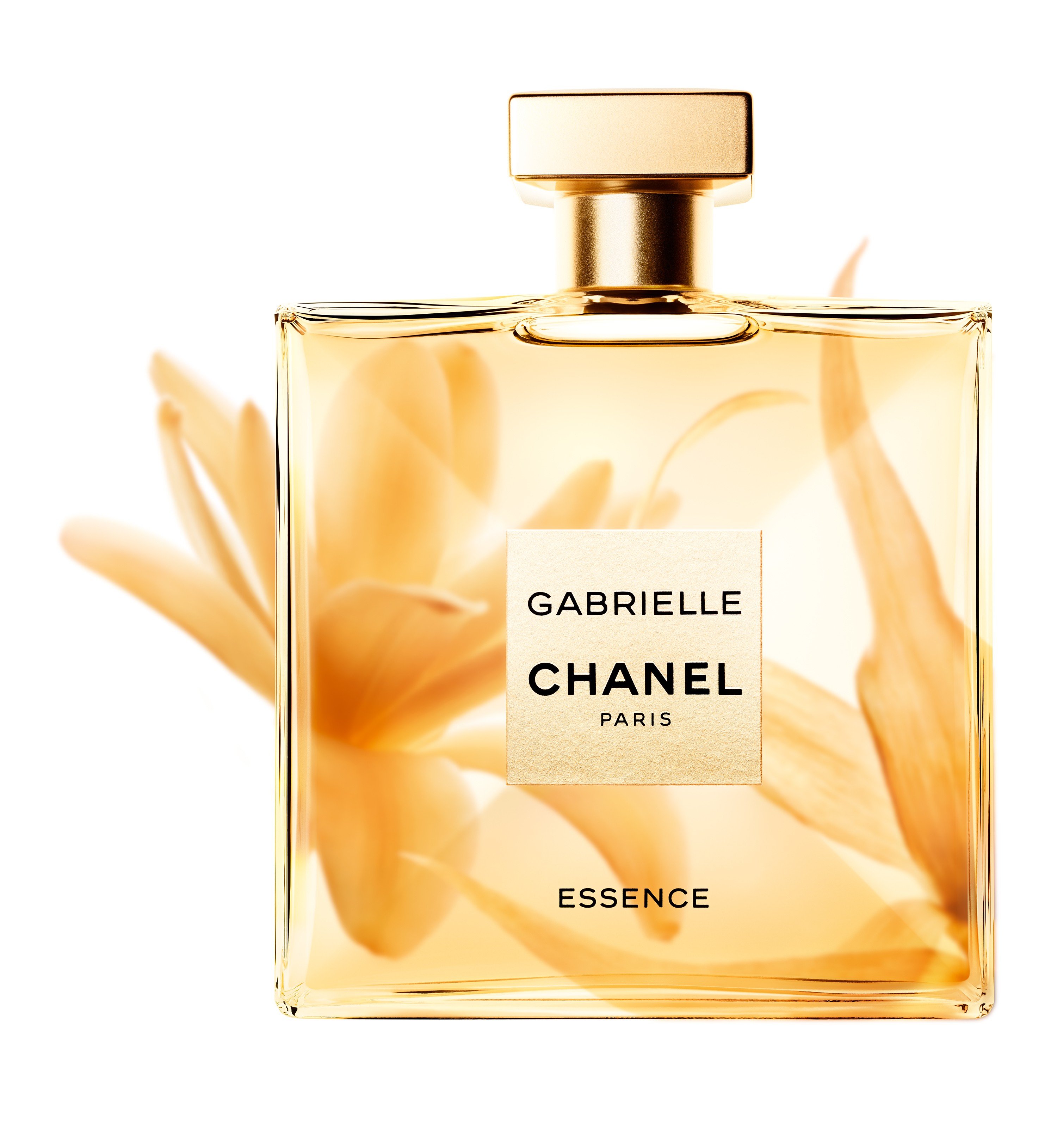 kokain type Spænding Gabrielle Chanel Essence offers a fresh floral take for summer on Chanel  No. 5 – and Margot Robbie endorses it | South China Morning Post