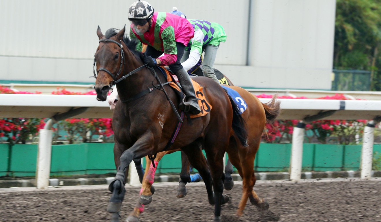 Elusive State trials at Sha Tin before departing for Dubai.