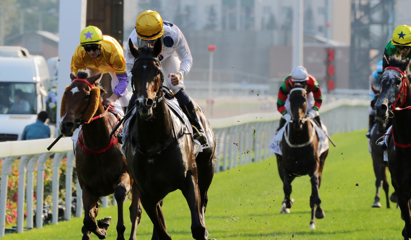 Golden Sixty crosses the line in the Hong Kong Derby.